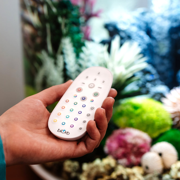 biOrb 4 Gallon Oval Aquarium Tank Wayfair Canada